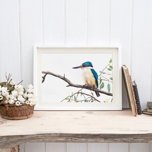 A4 Sacred Kingfisher print, Australian bird art print, artwork of native Australian wildlife.