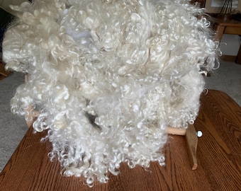 Yearling mohair locks, white, washed. 8 ounces