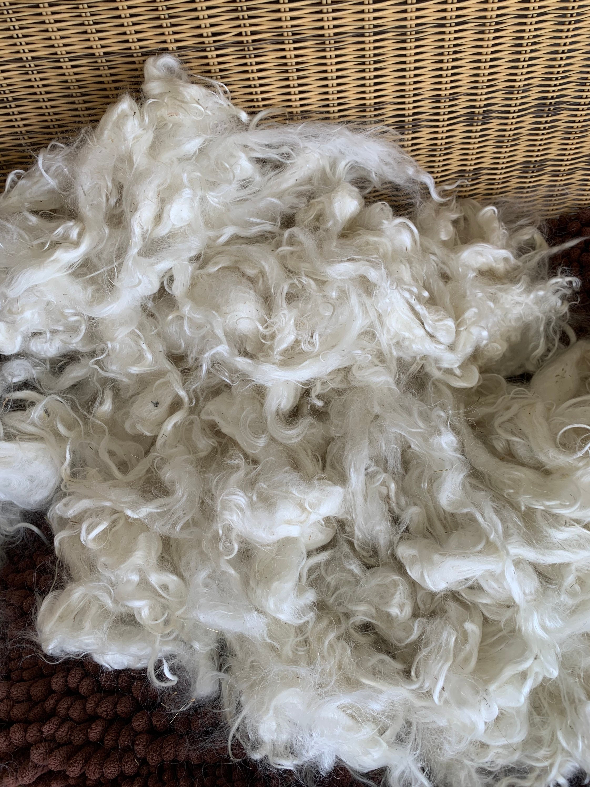 Kid mohair fleece 2nd clip white 16 ounces washed Etsy