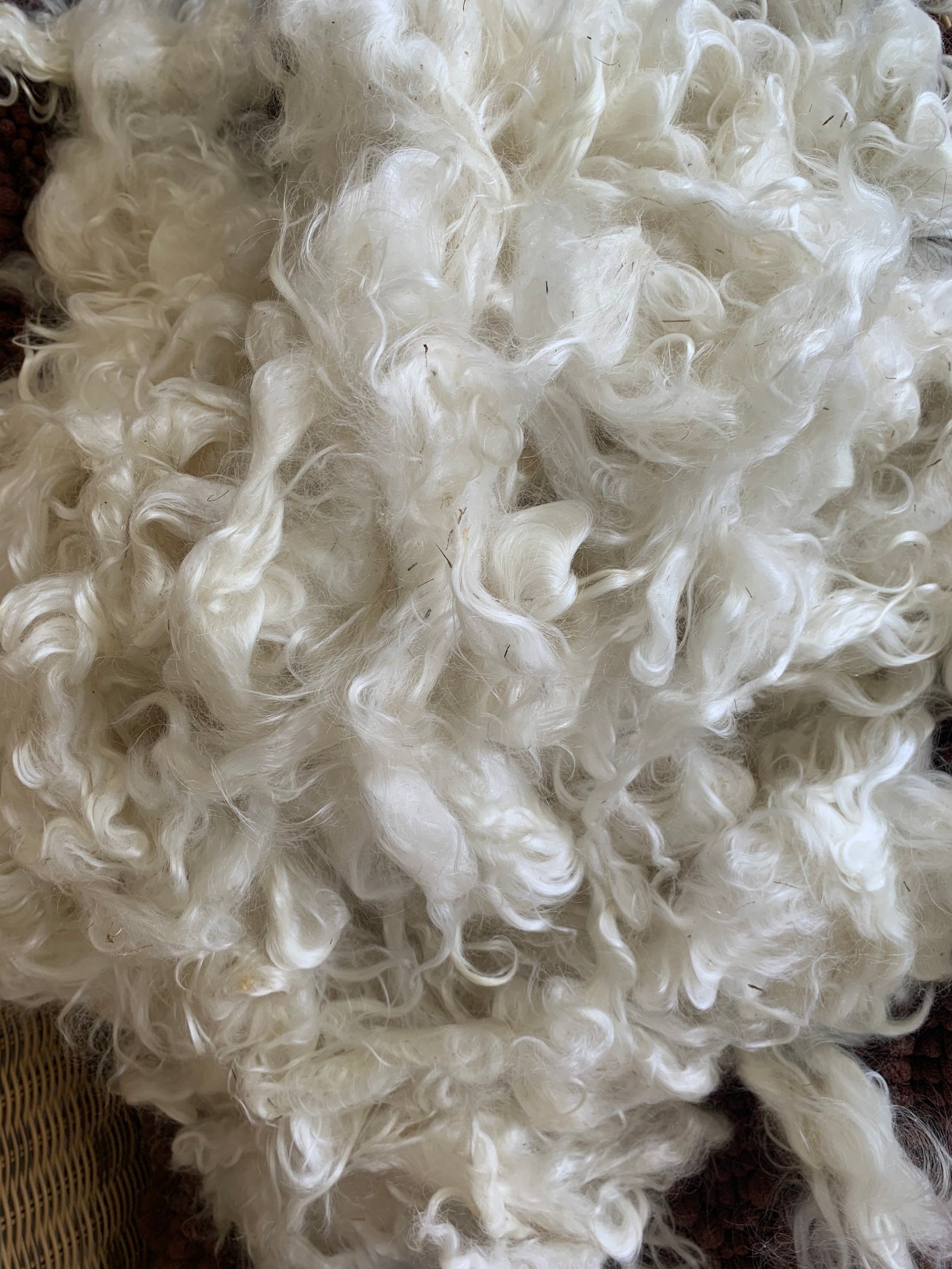 Kid mohair fleece 2nd clip white 16 ounces washed Etsy