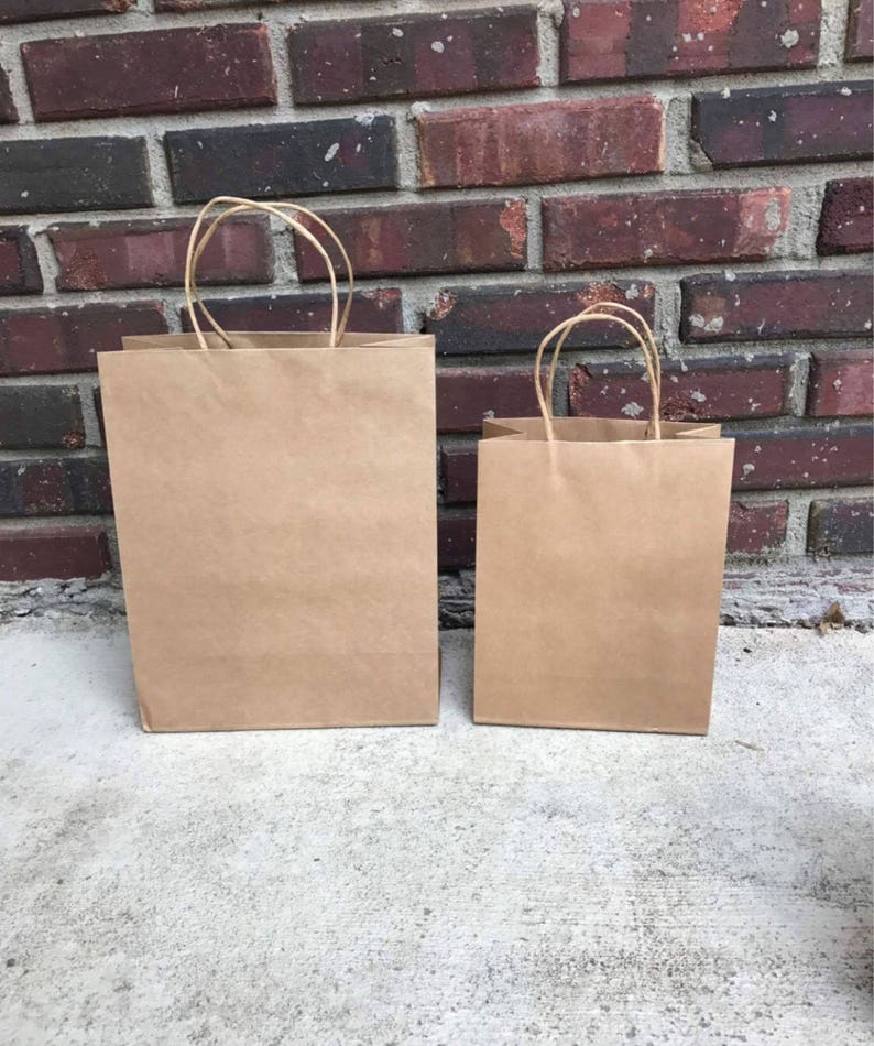 May include: Two brown paper bags with handles. The larger bag is in the background and the smaller bag is in the foreground.