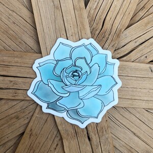Succulent sticker- waterproof vinyl sticker- water bottle sticker- laptop sticker- succulent vinyl sticker- succulent watercolor sticker