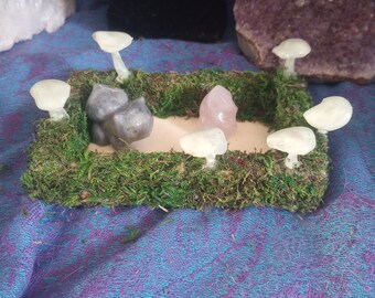 Glow in the Dark Mushroom Display Tray