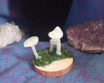 Glow in the Dark Mushroom Display