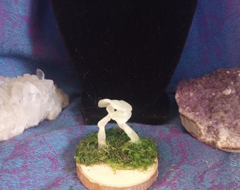 Glow in the Dark Mushroom Display