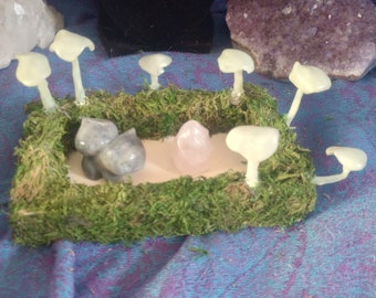 Glow in the Dark Mushroom Display Tray