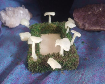 Glow in the Dark Mushroom Display Tray