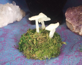 Glow in the Dark Mushroom Display