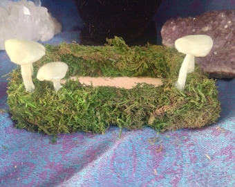 Glow in the Dark Mushroom Display Tray