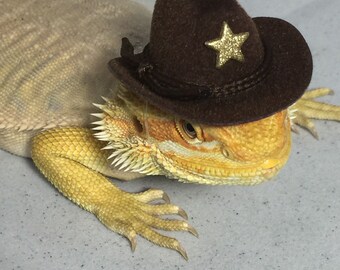 bearded dragon onesie