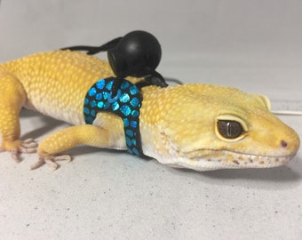 leopard gecko supplies