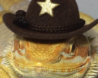 2 Hats!   Dragon Wings and Things  Brown Cowboy Hat + 1 Birthday Hat (Random Color )