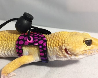 Dragon Wings and Things Juvenile Bearded Dragon/ Gecko Harness/ Leash