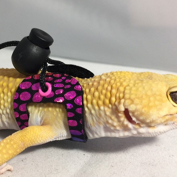 Dragon Wings and Things Juvenile Bearded Dragon/ Gecko Harness/ Leash