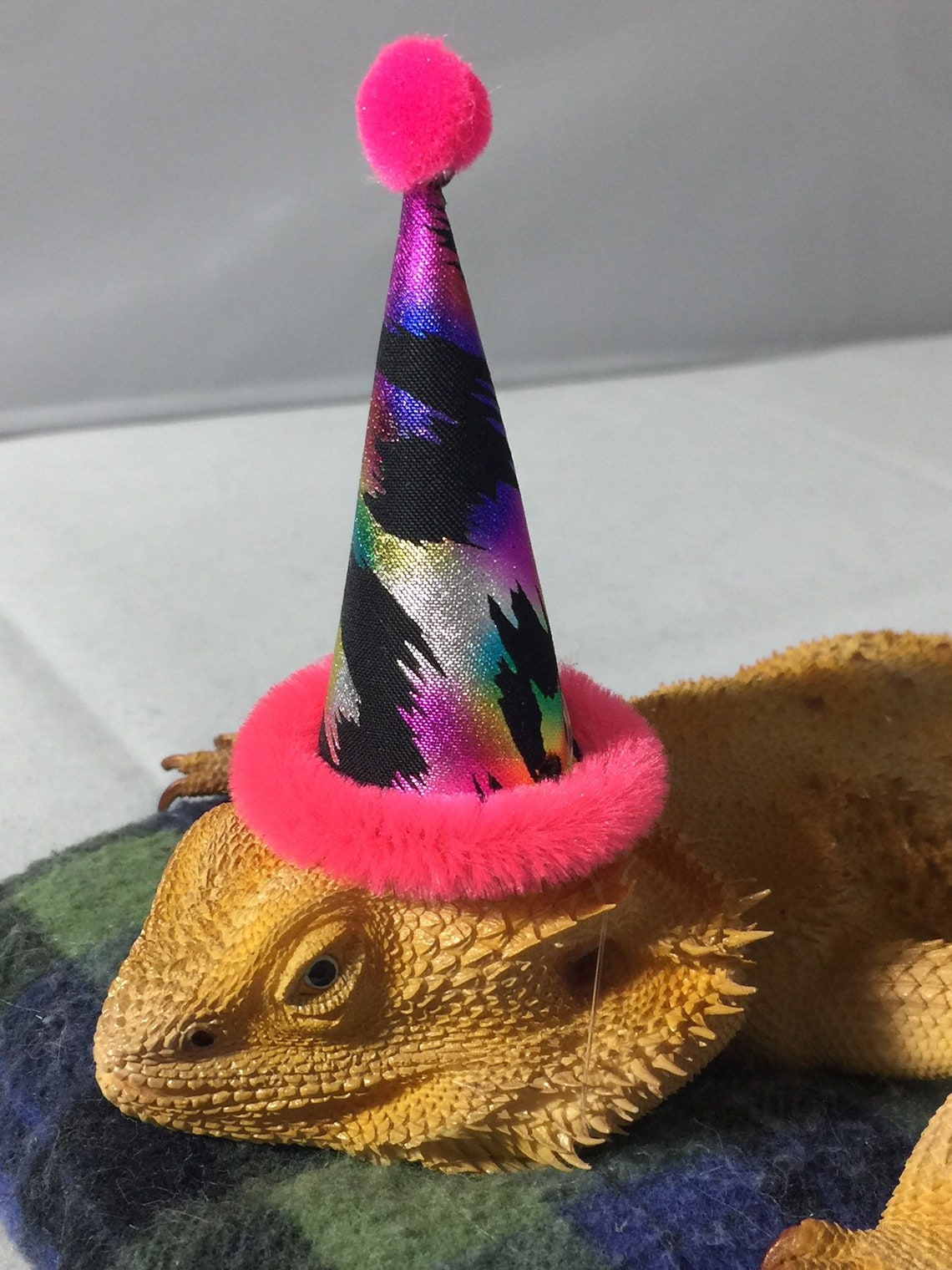 Dragon Wings and Things Bearded Dragon/ Snake/ Gecko Birthday image 1