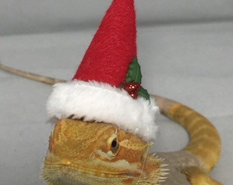 Dragon Wings and Things Santa Hat