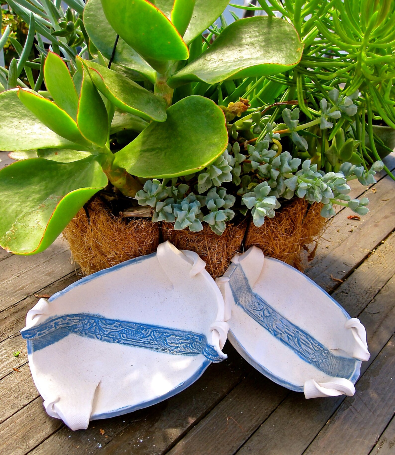 Blue and White Turtle Shell Bowls Set of 2 Etsy