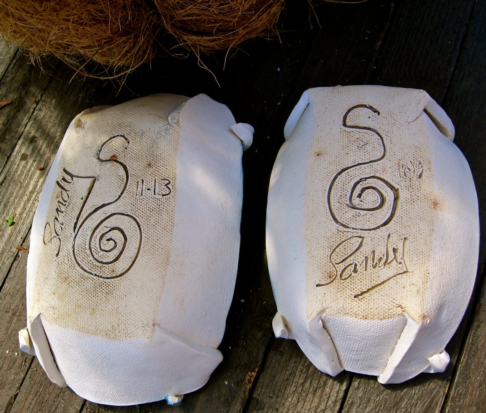 Blue and White Turtle Shell Bowls Set of 2 Etsy