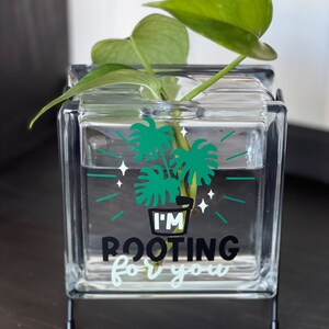 May include: A glass cube vase with a green plant inside. The vase has a black and white graphic that says "I'm rooting for you".