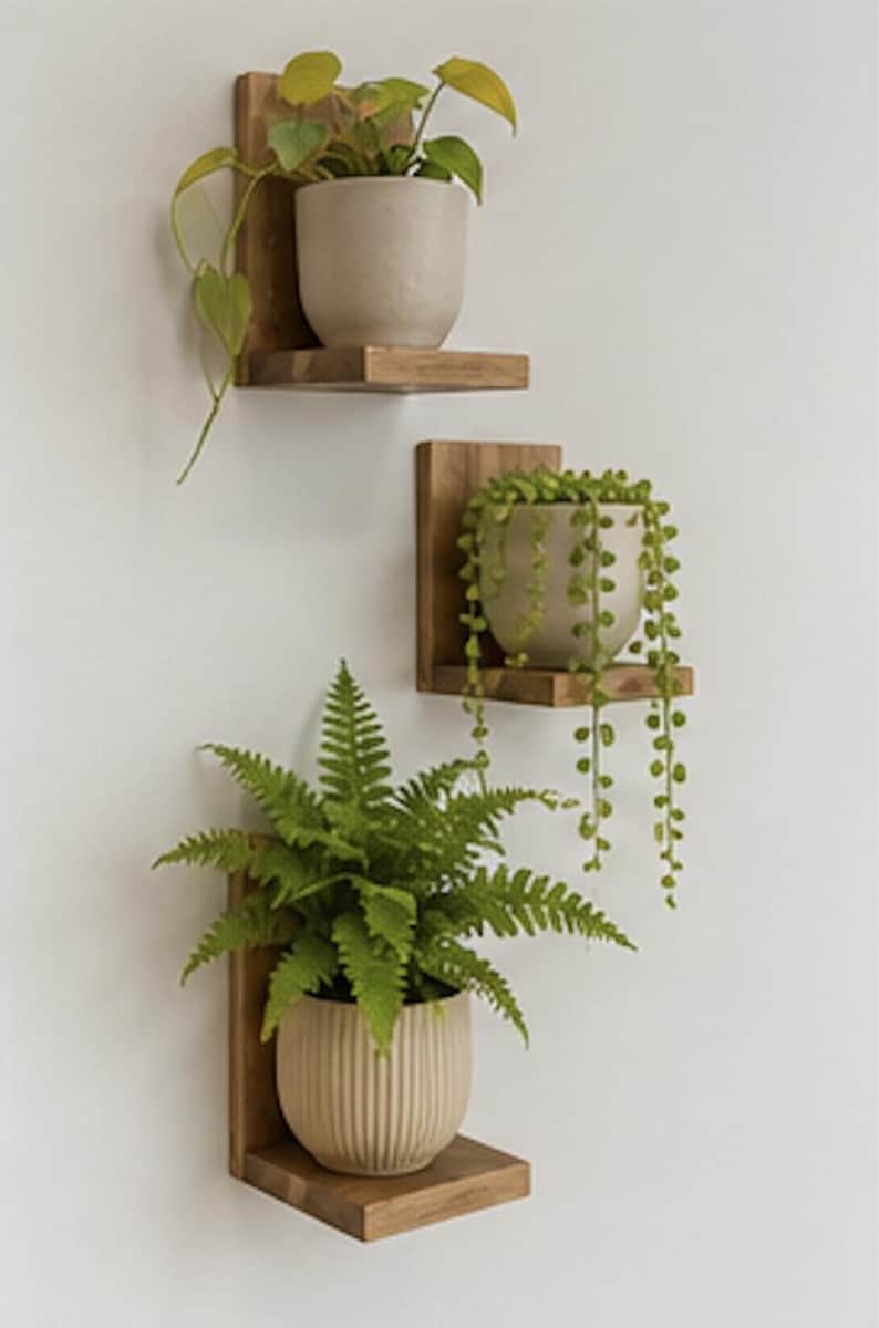 May include: Three individual L-shaped wooden wall shelves mounted vertically. Each shelf holds a potted plant: a trailing pothos in a smooth beige pot, a string of pearls in a smooth beige pot, and a fern in a vertically ribbed beige pot.