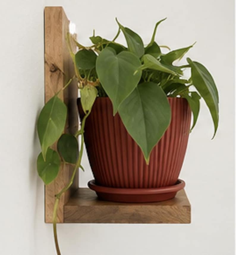 May include: A terracotta-colored, ribbed plant pot with a matching saucer sits on a light brown wooden corner shelf. A green heart-leaf philodendron plant with trailing vines grows from the pot, which is mounted against a plain white wall.