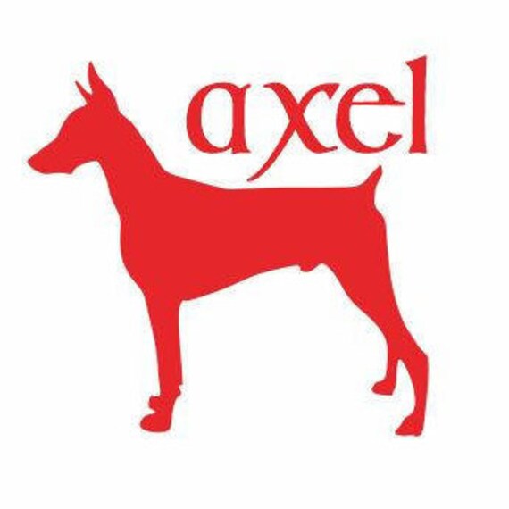 dirt customs doberman