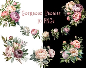 Peony PNG clipart, Peonies Clipart, Flowers, Floral arrangement PNG, Digital wall art, Printable peony clipart, Peony arrangement Pink peony