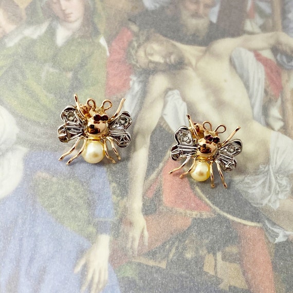Insect stud earrings best sale