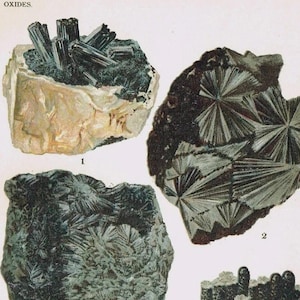 May include: A vintage scientific illustration titled OXIDES Plate 15, featuring four mineral specimens labeled 1, Manganite, 2 and 3, Pyrolusite, and 4, Psilomelane. The print displays detailed dark gray and black crystalline structures on a white background.