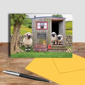 Valais Blacknose Sheep card. Farm animal card, Shepherds hut card, sheep greetings card, Sheep card,