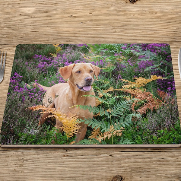 Fox Red Labrador placemat, tablemats, gundog placemat