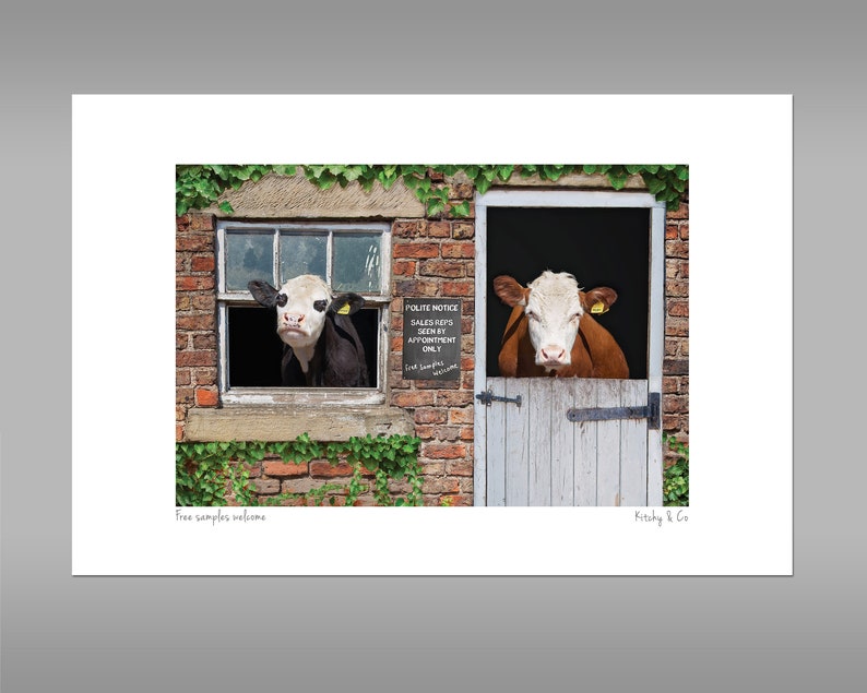 Hereford cow Print. Hereford cow gifts funny animals cow Etsy