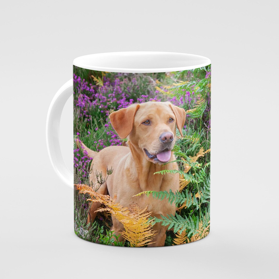 Fox Red Labrador Mug Labrador Gifts, Labrador Mugs, Dog Gifts, Gundog