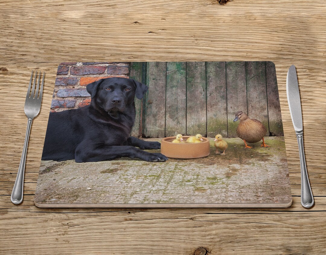 Placemat Labrador, Labrador Placemat, Tablemats, Gundog Placemat, Ducks