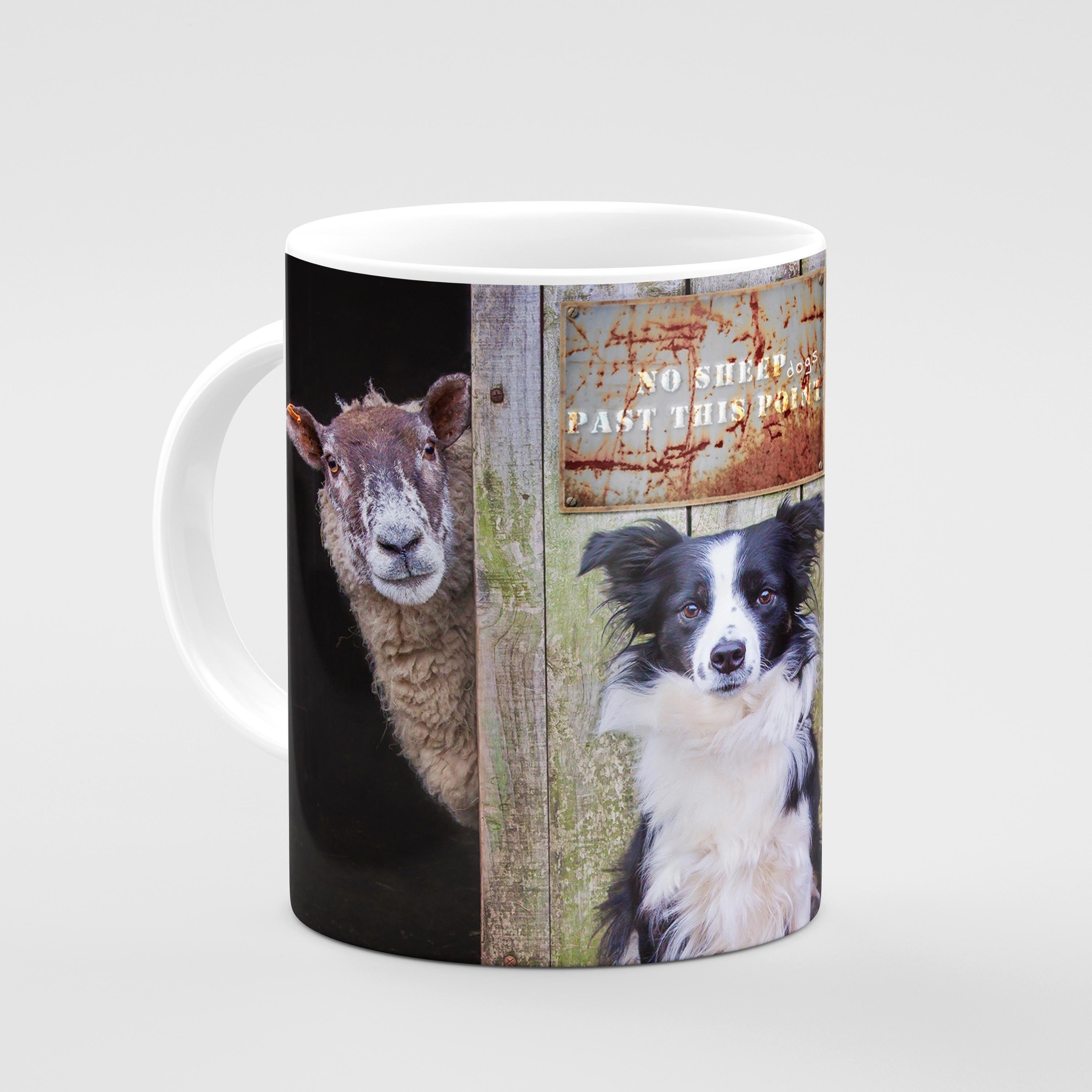 border collie items