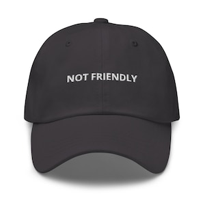 Not Friendly Dad Hat, Embroidered Dad Hat, Funny Hat for Introvert Gift For Introvert Hat, Unfriendly Hat