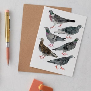 鳩のグリーティング カード、誕生日カード、都市の鳥のプリント、サンキュー カード、イラスト プリント