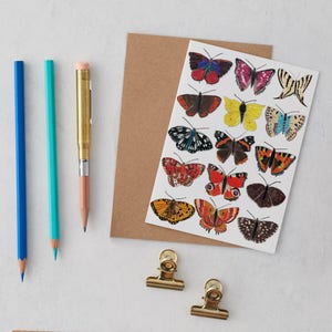 Carte de voeux papillons, carte papillon, impression papillon, intérieur vierge, carte d'anniversaire, carte nature, carte insecte, impression insecte