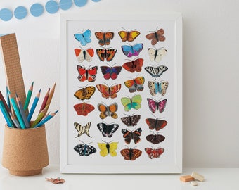 Schmetterling Wandkunst, Schmetterlinge Druck, Insekten Kunst, Käfer Druck, Wohnkultur, Geschenk für sie, Schmetterling Dekor, Marienkäfer, Schmetterling Kunst