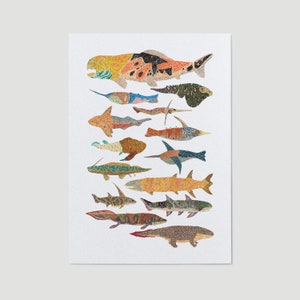 May include: A collection of 12 colourful fish illustrations, each with a unique pattern and design. The fish are arranged vertically, with the largest fish at the top and the smallest fish at the bottom. The fish are all facing to the right.