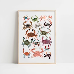 Impresión artística de cangrejos vibrantes: arte mural de crustáceos ilustrado a mano, vida marina, colorido, tamaños A5, A4, A3, A2, 8x10, 11x14