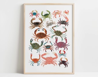Vibrant Crabs Art Print – Hand-Illustrated Sea Life
