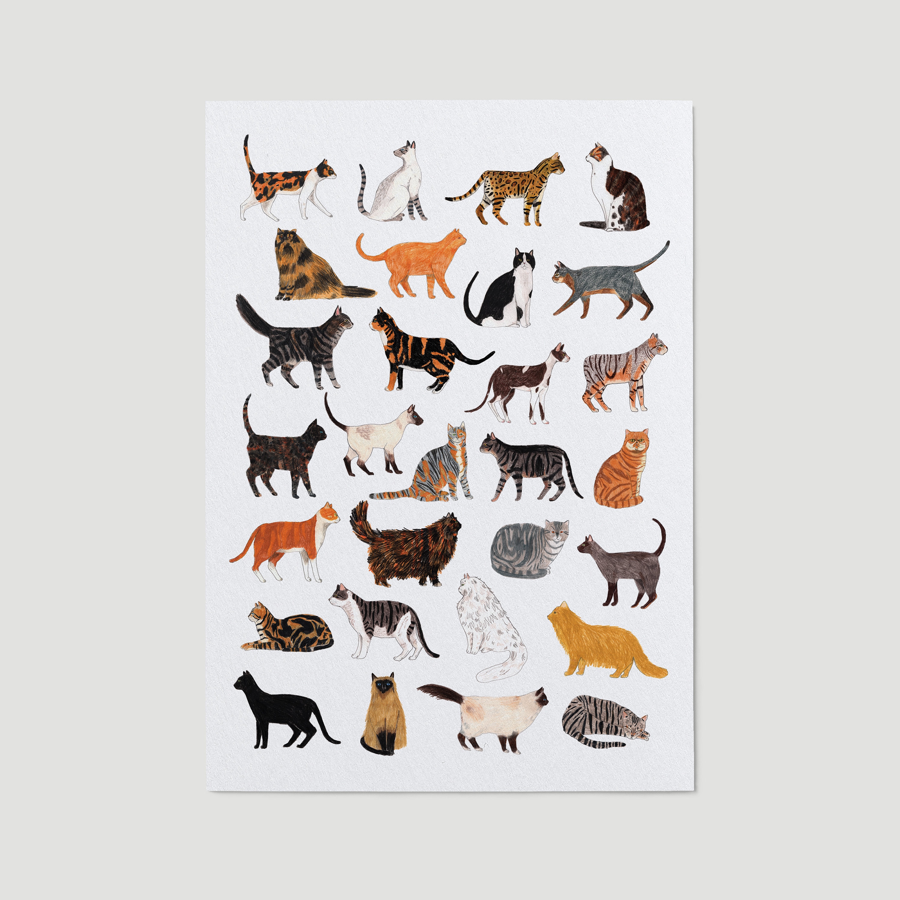 Cat Print Cat Wall Art Cat Art Giclee Print Cat Nursery - Etsy UK