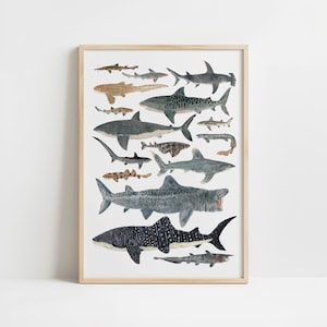 May include: A framed print showcasing watercolour illustrations of diverse shark species. The sharks are rendered in shades of grey, blue, and brown, with intricate patterns and textures. The artwork is set against a white backdrop, and framed in a natural wood frame.