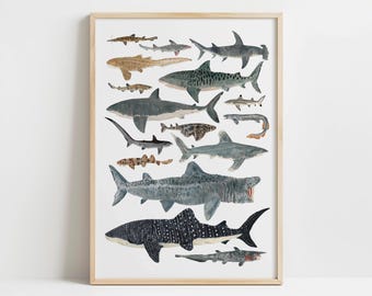 Sharks Illustrated Wall Art Print