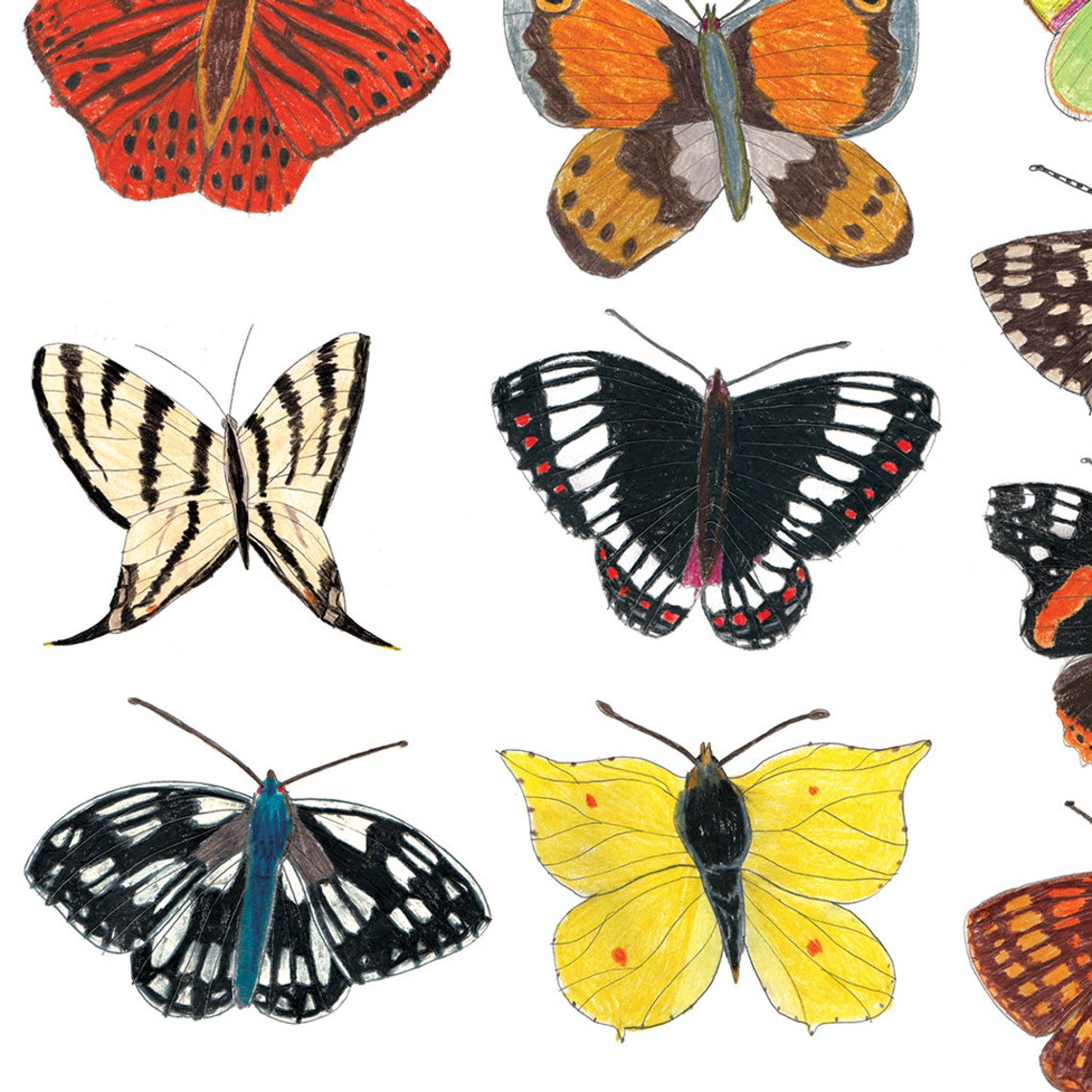Butterfly Wall Art Butterflies Print Insect Art Beetle Etsy UK