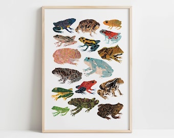 Colorful Frogs and Toads Art Print, Amphibian Illustration