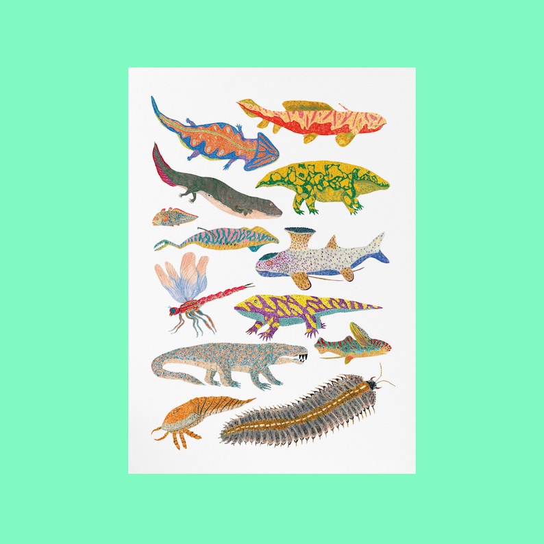 May include: A colorful illustration of various aquatic creatures, including fish, amphibians, and a dragonfly. The creatures are depicted in a whimsical style with intricate details and vibrant colors.