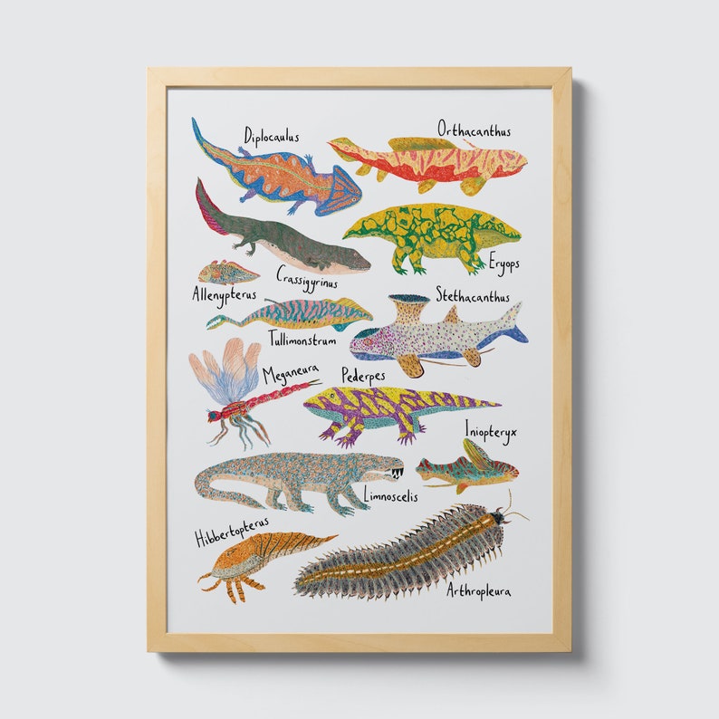 May include: A colorful illustration of extinct prehistoric creatures, including a Diplocaulus, Orthacanthus, Eryops, Stethacanthus, Tullimonstrum, Meganeara, Pederpes, Iniopteryx, Limnoscelis, and Arthropleura. The illustration is on a white background with the names of each creature written in black.