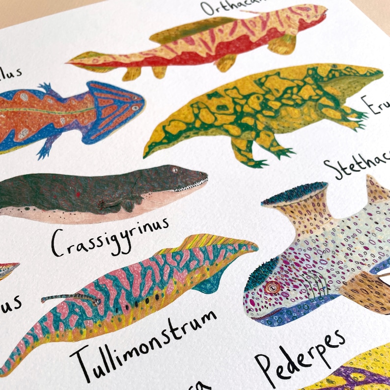 May include: A colorful illustration of extinct aquatic creatures. The illustration features a variety of creatures with names like "Tullimonstrum", "Crassogyrinus", and "Pederpes".